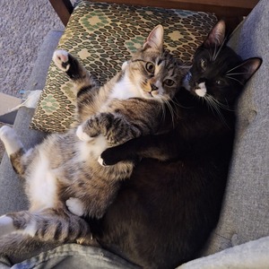 Fundraising Page: Hannah Morgan